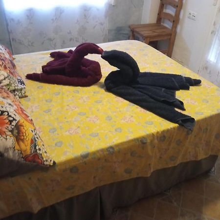 Apartamento Maite Guardamar del Segura Oda fotoğraf