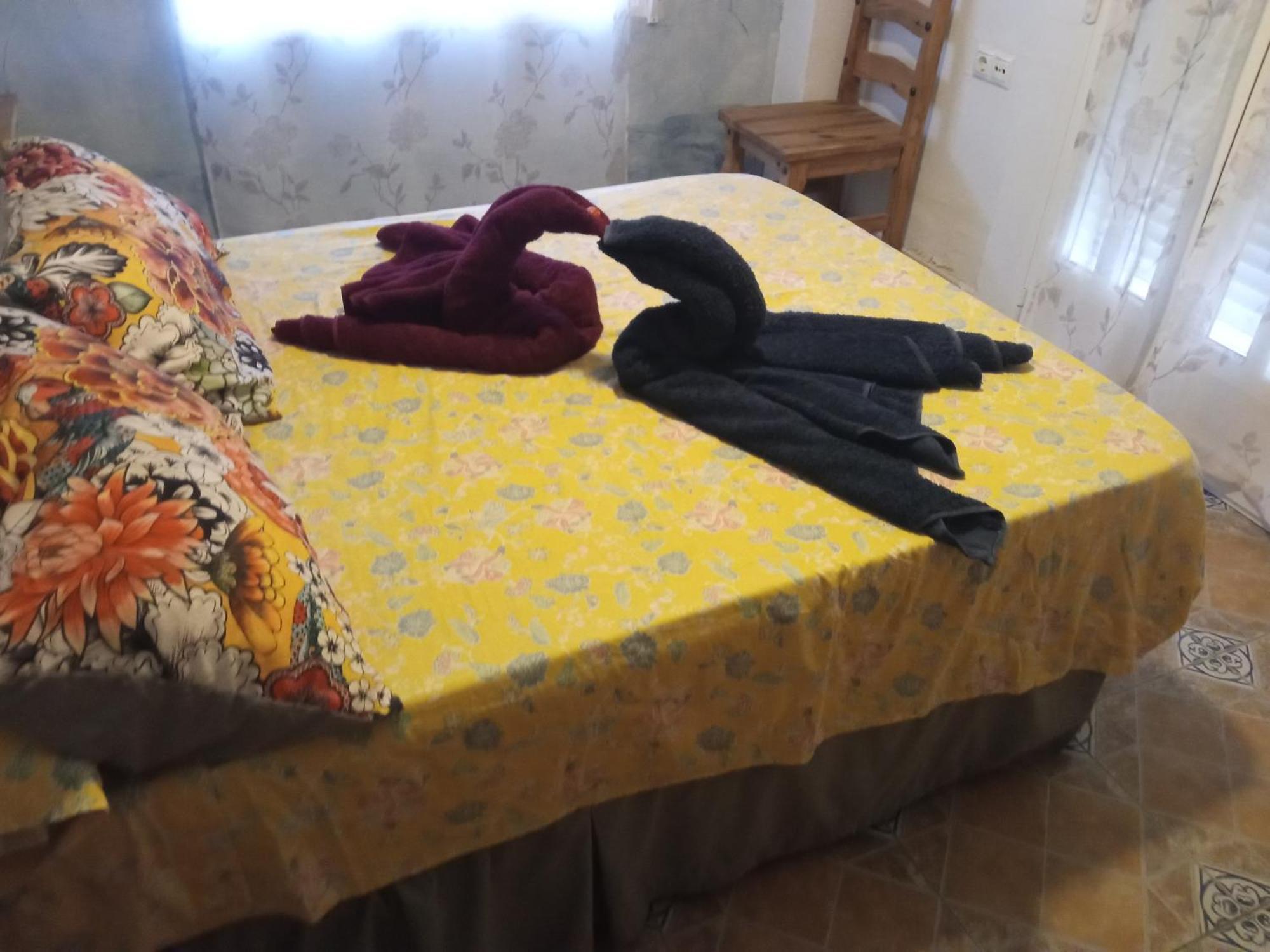Apartamento Maite Guardamar del Segura Oda fotoğraf