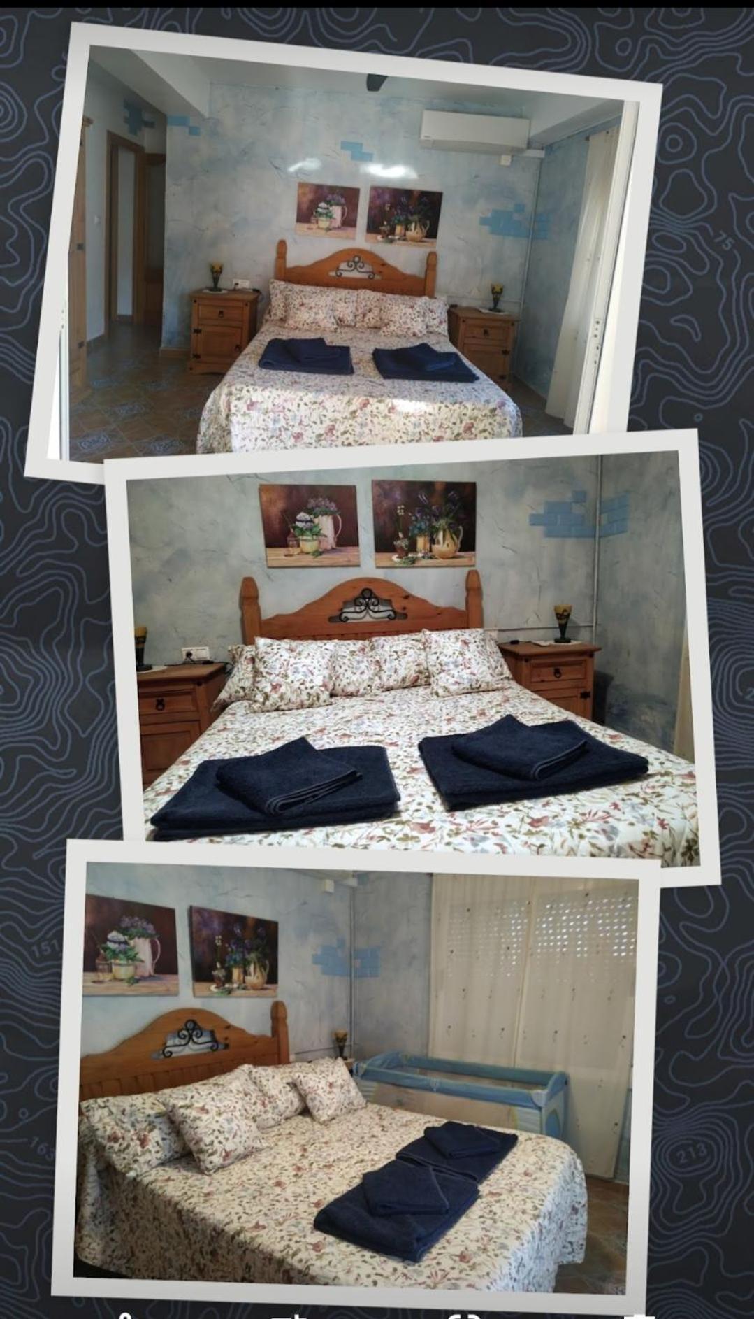Apartamento Maite Guardamar del Segura Oda fotoğraf