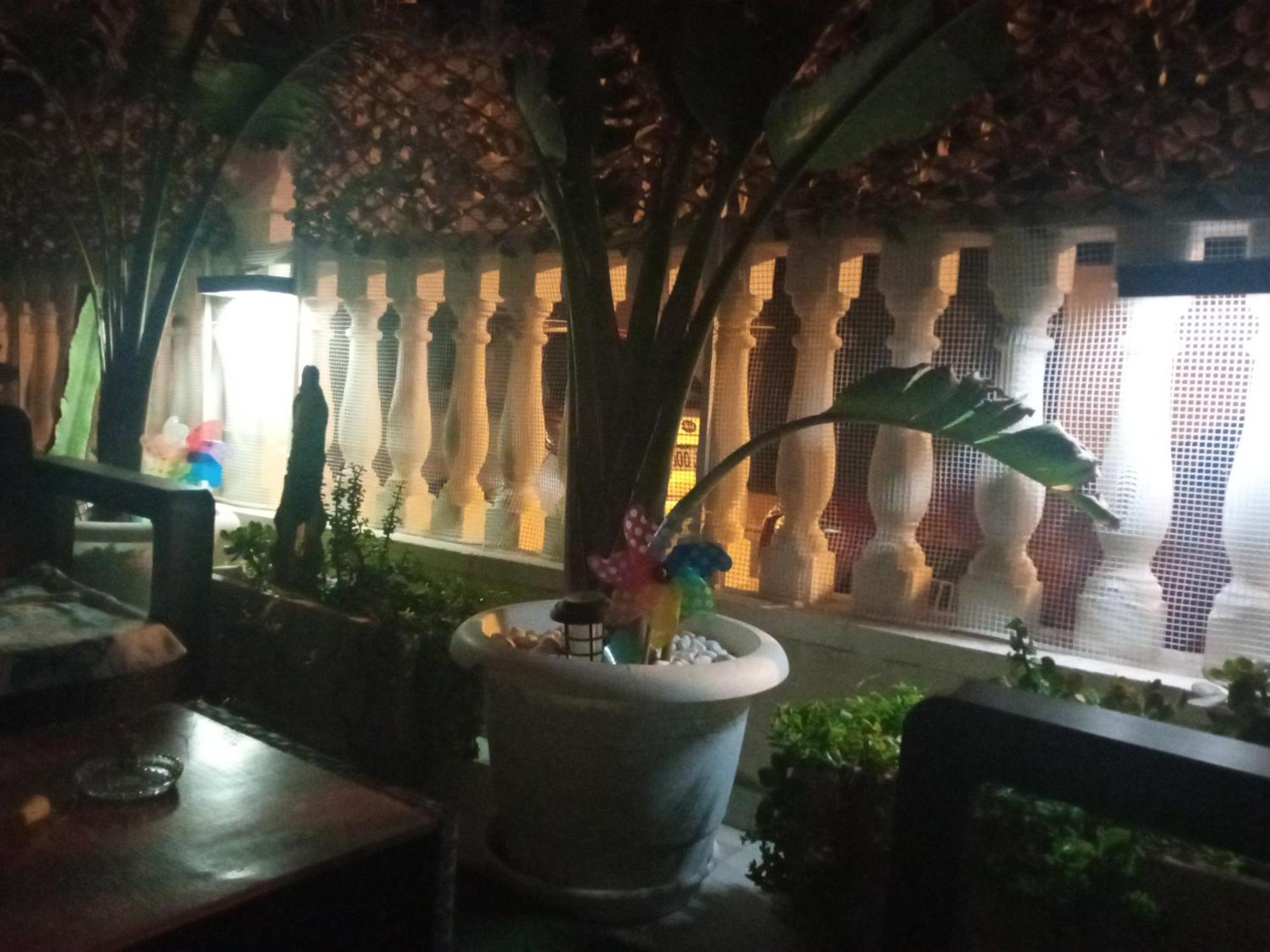 Apartamento Maite Guardamar del Segura Oda fotoğraf