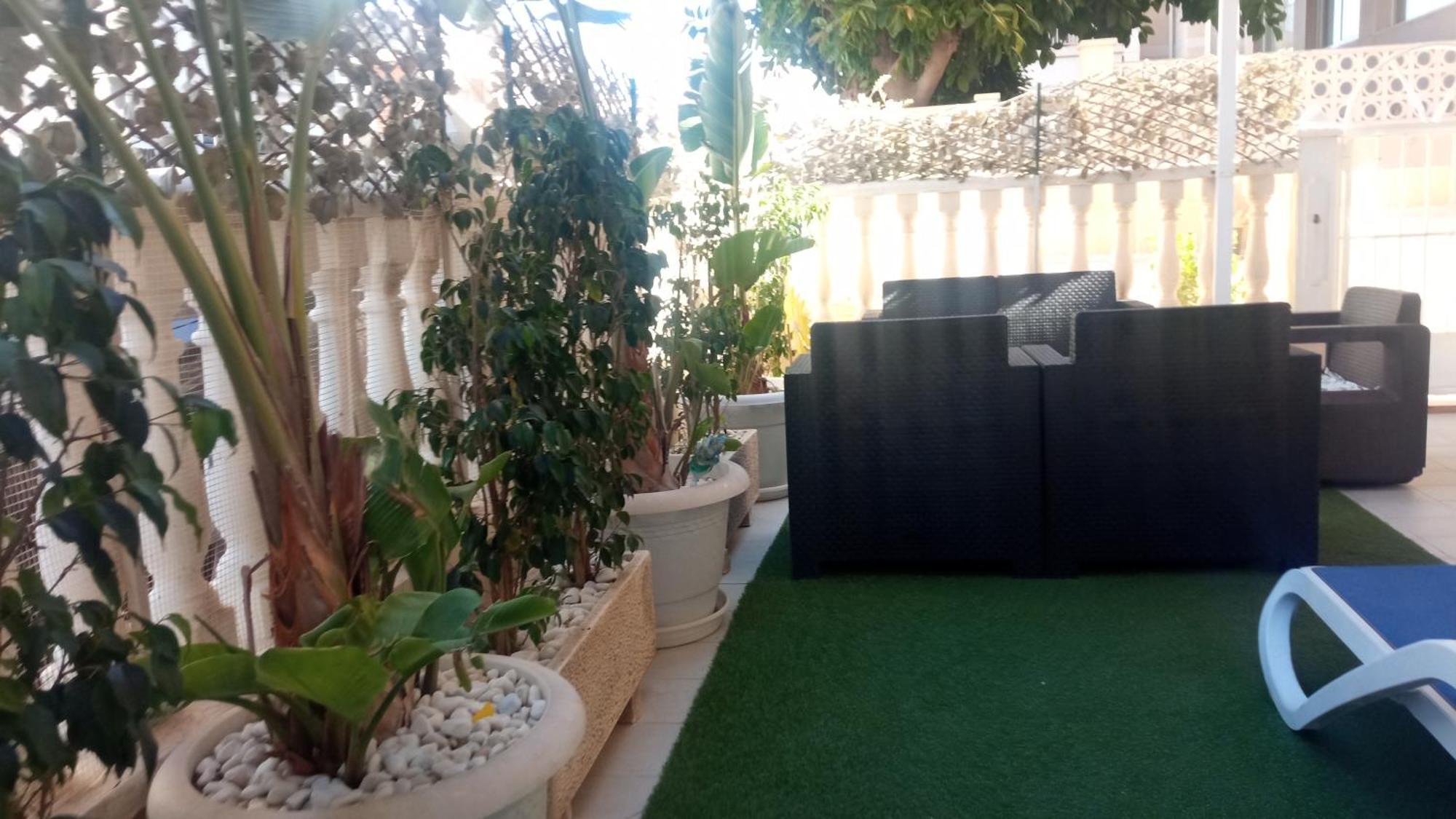 Apartamento Maite Guardamar del Segura Oda fotoğraf